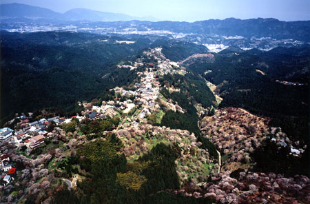吉野山 航空写真